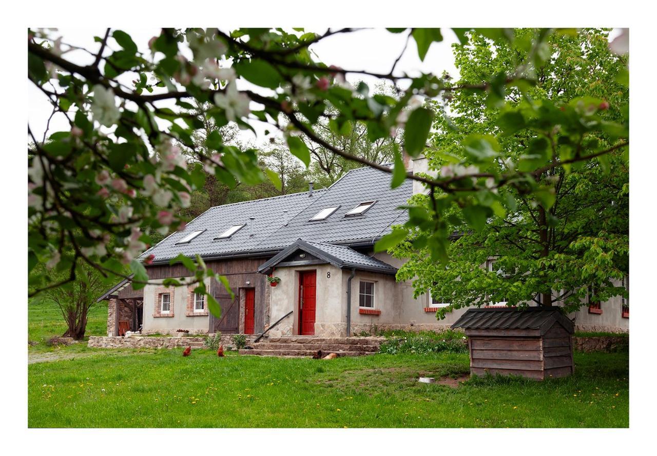 Kozy I Roze Villa Oldrzychowice Klodzkie Kültér fotó